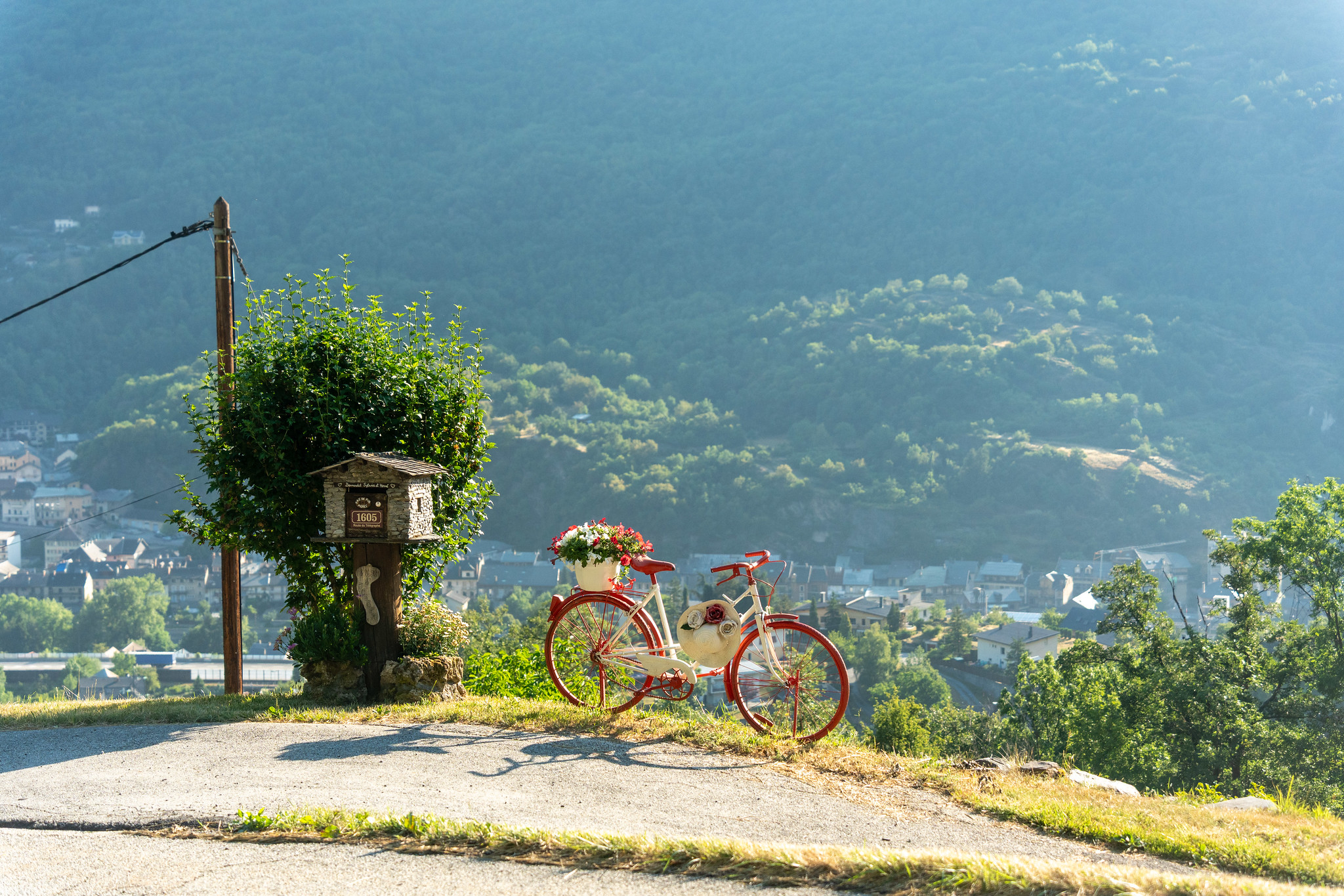 galibier-flower-bike