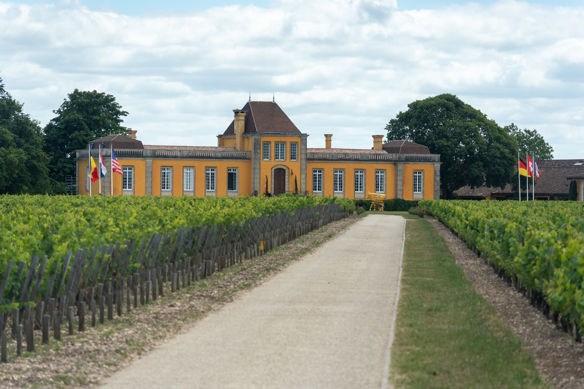 Yellow Winery
