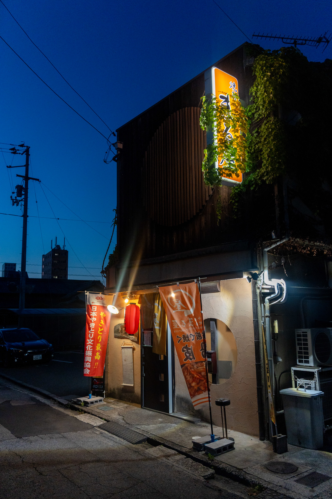 Teppan Yakitori